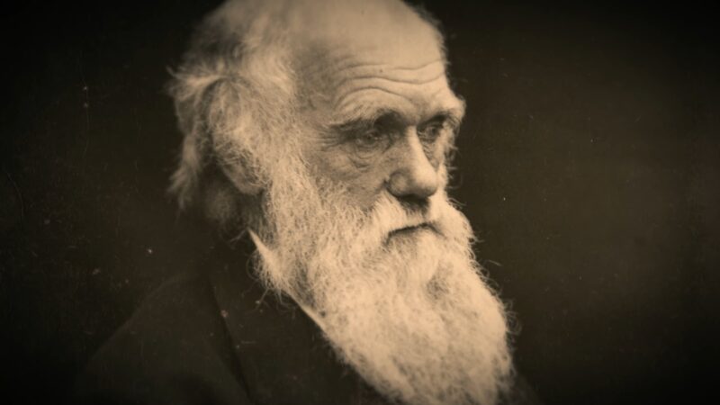 Charles Darwin